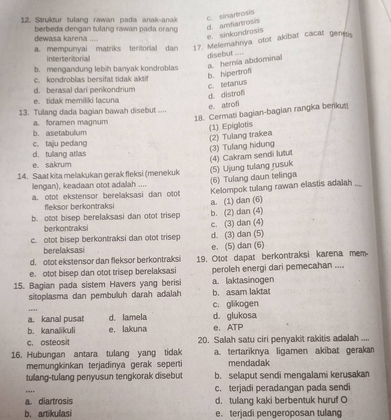 Struktur tulang rawan pada anak-anak c. sinartrosis
berbeda dengan tulang rawan pada orang d. amfiartrosis
dewasa karena ....
e. sinkondrosis
a. mempunyai matriks teritorial dan 17. Melemahnya otot akibat cacat genetis
interteritorial
disebut ....
b. mengandung lebih banyak kondroblas a. hernia abdominal
c. kondroblas bersifat tidak aktif
b. hipertrofi
c. tetanus
d. berasal dari perikondrium
d. distrofi
e. tidak memiliki lacuna
e. atrofi
18. Cermati bagian-bagian rangka berikut!
13. Tulang dada bagian bawah disebut ....
a. foramen magnum
(1) Epiglotis
b. asetabulum
(2) Tulang trakea
c. taju pedang
(3) Tulang hidung
d. tulang atlas
(4) Cakram sendi lutut
e. sakrum
14. Saat kita melakukan gerak fleksi (menekuk (5) Ujung tulang rusuk
lengan), keadaan otot adalah ....
(6) Tulang daun telinga
a. otot ekstensor berelaksasi dan otot Kelompok tulang rawan elastis adalah ....
fleksor berkontraksi
a. (1) dan (6)
b. otot bisep berelaksasi dan otot trisep b. (2) dan (4)
berkontraksi
c. (3) dan (4)
c. otot bisep berkontraksi dan otot trisep d. (3) dan (5)
berelaksasi e. (5) dan (6)
d. otot ekstensor dan fleksor berkontraksi 19. Otot dapat berkontraksi karena mem-
e. otot bisep dan otot trisep berelaksasi peroleh energi dari pemecahan ....
15. Bagian pada sistem Havers yang berisi a. laktasinogen
sitoplasma dan pembuluh darah adalah b. asam laktat
c. glikogen
_.
a. kanal pusat d. lamela d. glukosa
b. kanalikuli e. lakuna e. ATP
c. osteosit 20. Salah satu ciri penyakit rakitis adalah ....
16. Hubungan antara tulang yang tidak a. tertariknya ligamen akibat gerakan
memungkinkan terjadinya gerak seperti mendadak
tulang-tulang penyusun tengkorak disebut b. selaput sendi mengalami kerusakan
... c. terjadi peradangan pada sendi
a. diartrosis d. tulang kaki berbentuk huruf O
b. artikulasi e. terjadi pengeroposan tulang