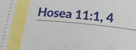 Hosea 11:1,4