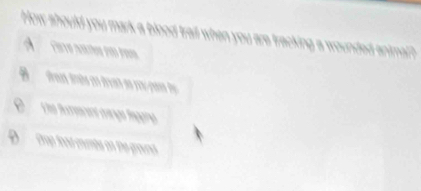 How should you mark a blood trail when you are tracking a wounded animal?
áreas ámãs en drvan no pou pasa dy
Ehe Retrmces carço faggna
Prop food cnumbs on the grouns