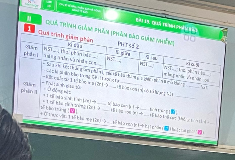 LOP 
SINH HOC 10
Chu Rồ Tế bào, phân bào và công NgHệ Tế bào bài 19. quá trình phần bào 
QUÁ trìnH giẢM phân 
1 
số lượng NST_ 
ân IIg vật: 
1 tế bào sinh tinh (2n) → tế bào con (n) → tinh trùng ( ). 
tế bào trứng ( Ý ). 
1 tế bào sinh trứng (2n) →_ tế bào con (n) → .... tế bào thể cực (không sinh sản) +_ 
+ Ở thực vật: 1 tế bào mẹ (2n) → .... tế bào con (n) → hạt phần ( ổ ) hoặc túi phối