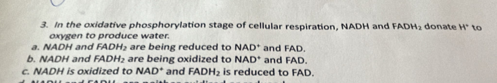 In the oxidative phosphorylation stage of cellular respiration, NADH and FADH_2 donate H° to
oxygen to produce water.
a. NADH and FADH_2 are being reduced to NAD^+ and FAD.
b. NADH and FADH_2 are being oxidized to NAD^+ and FAD.
c. NADH is oxidized to NAD^+ and FADH_2 is reduced to FAD.