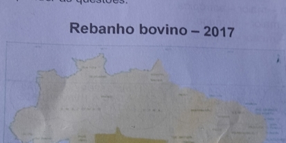 Rebanho bovino - 2017