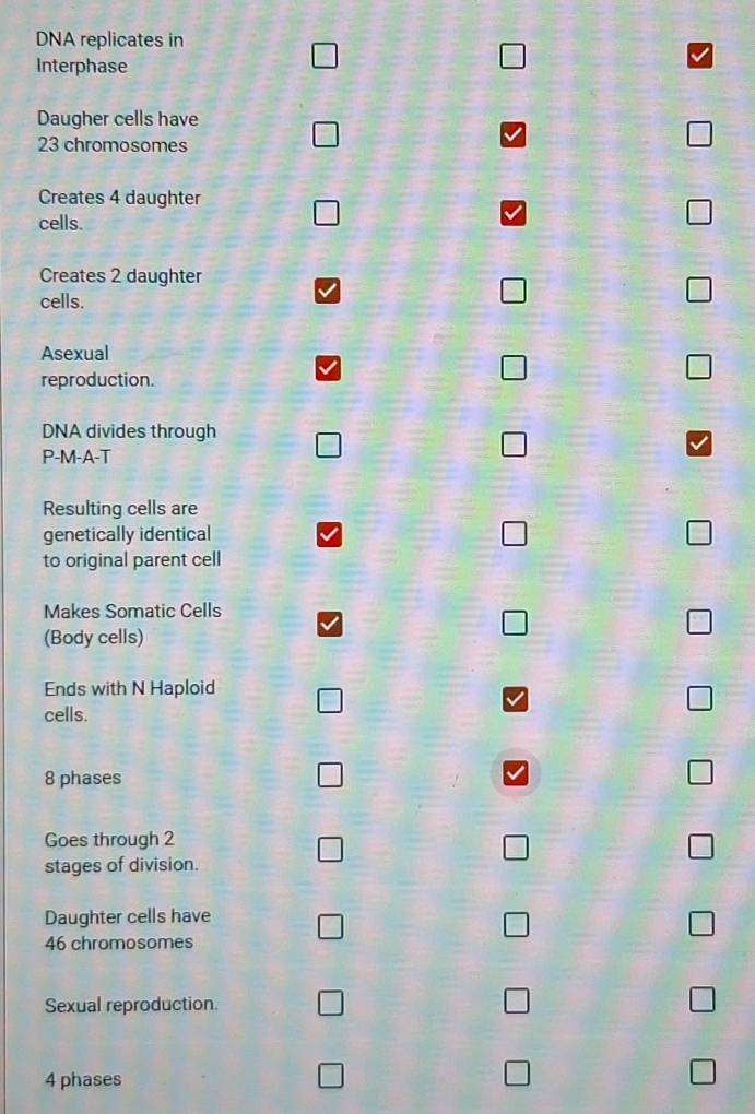 DNA replicates in 
Interphase 
Daugher cells have
23 chromosomes 
Creates 4 daughter 
cells. 
Creates 2 daughter 
cells. 
Asexual 
reproduction. 
DNA divides through 
P-M-A-T 
Resulting cells are 
genetically identical 
to original parent cell 
Makes Somatic Cells 
(Body cells) 
Ends with N Haploid 
cells.
8 phases 
Goes through 2
stages of division. 
Daughter cells have
46 chromosomes 
Sexual reproduction.
4 phases