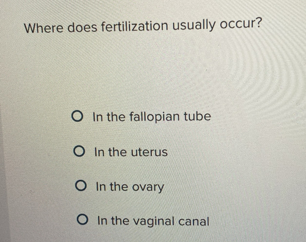 Where does fertilization usually occur?
In the fallopian tube
In the uterus
In the ovary
In the vaginal canal