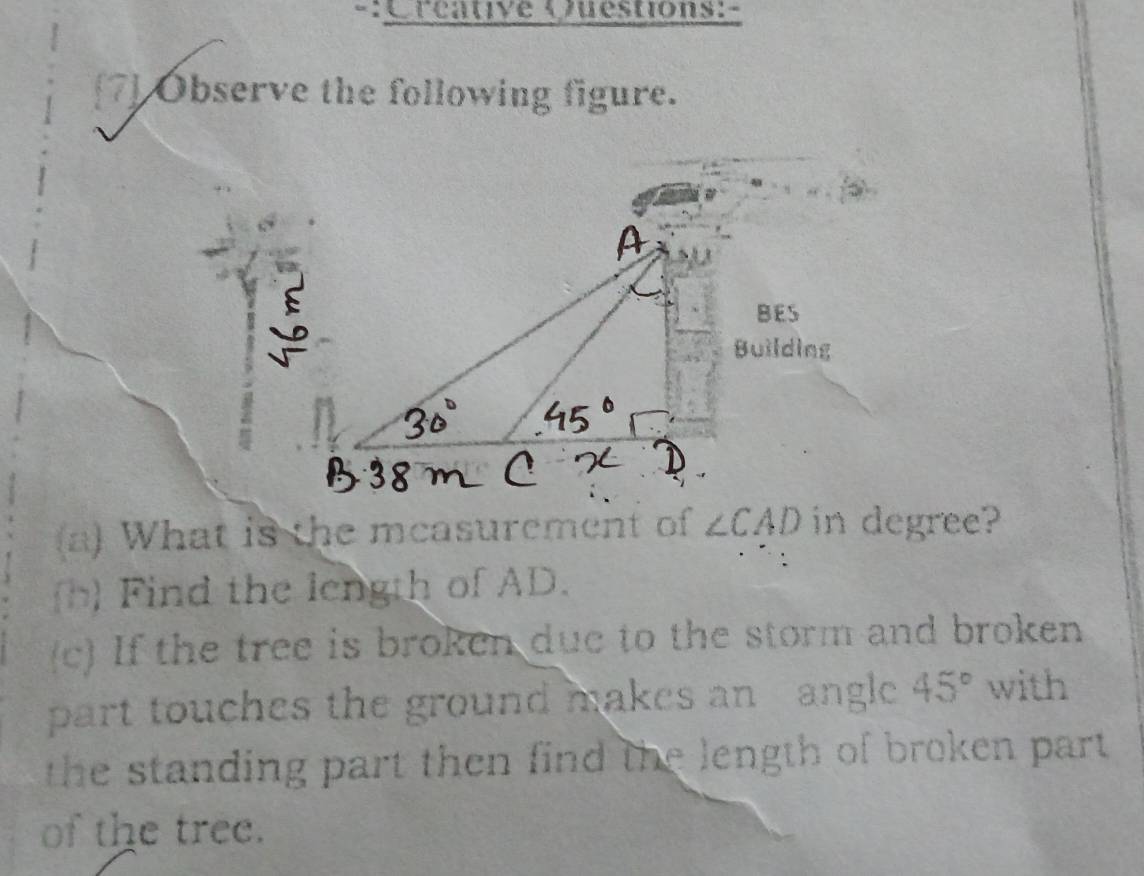 Crcative Questions:- 
[7] Observe the following figure. 
(a) What is the mcasurement of ∠ CAD in degree? 
h) Find the length of AD. 
(c) If the tree is broken due to the storm and broken 
part touches the ground makes an angle 45° with 
the standing part then find the length of broken part . 
of the tree.