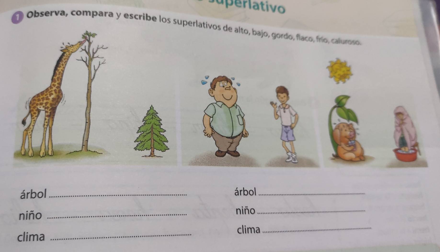 Superlativo 
O Observa, compara y escribe los superlativos de alto, bajo, gordo, flaco, frío, caluroso. 
árbol_ 
árbol_ 
niño_ 
niño_ 
clima_ 
clima_