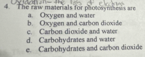 The raw materials for photosynthesis are
a. Oxygen and water
b. Oxygen and carbon dioxide
c. Carbon dioxide and water
d. Carbohydrates and water
e. Carbohydrates and carbon dioxide