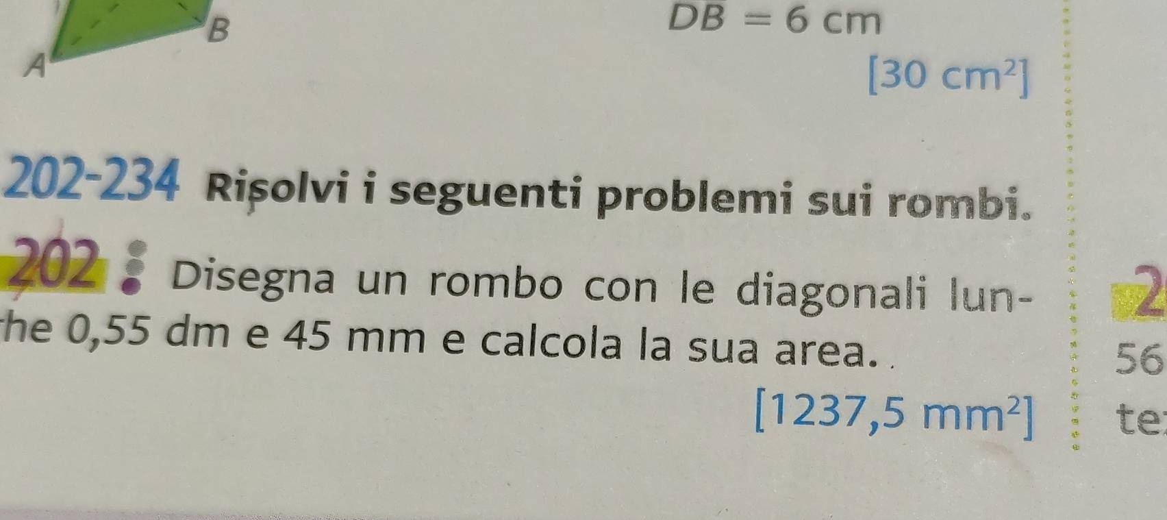 DB=6cm
[30cm^2]
202-234 Rișolvi i seguenti problemi sui rombi. 
202 : Disegna un rombo con le diagonali lun- 
the 0,55 dm e 45 mm e calcola la sua area. 56
[1237,5mm^2]
te: