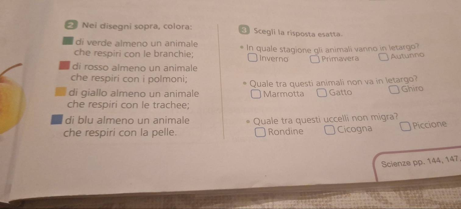 Nei disegni sopra, colora: 3 Scegli la risposta esatta.
di verde almeno un animale
che respiri con le branchie; In quale stagione gli animali vanno in letargo?
Inverno Primavera Autunno
di rosso almeno un animale
che respiri con i polmoni;
Quale tra questi animali non va in letargo?
di giallo almeno un animale Marmotta Gatto Ghiro
che respiri con le trachee;
di blu almeno un animale Quale tra questi uccelli non migra?
che respiri con la pelle. Rondine Cicogna
Piccione
Scienze pp. 144, 147