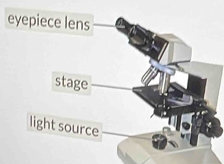 eyep 
light source