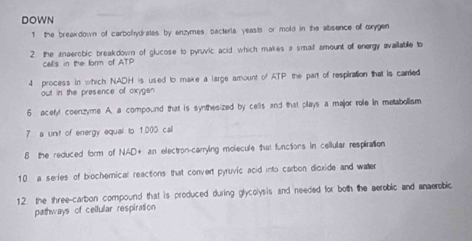 DOWN 
1 the breakdown of carbohydrates by enzymes, bacteria yeasts or mold in the absence of oxygen 
2. the anaerobic breakdown of glucose to pyruvic acid which makes a smail amount of energy avaiable to 
cells in the form of ATP
4 process in which NADH is used to make a large amount of ATP the part of respiration that is carried 
out in the presence of oxygen 
6 acetyl coenzyme A. a compound that is synthesized by cells and that plays a major role in metabolism 
7 a unit of energy equal to 1.000 cal
8 the reduced form of NAD+ an electron-carrying molecule that funcions in cellular respiration 
10 a series of biochemical reactions that convert pyruvic acid into carbon dioxide and water 
12 the three-carbon compound that is produced during glycolysis and needed for both the aerobic and anaerobic 
pathways of cellular respiration