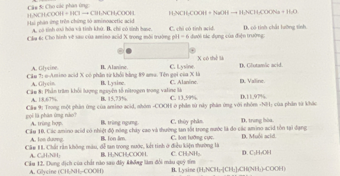 Cho các phan ứng:
H NCH_2COOH+HClto CH_3NCH_2COOH. H_2NCH_2COOH+NaOHto H_2NCH_2COONa+H_2O.
Hai phản ứng trên chứng tỏ aminoacetic acid
A. có tỉnh oxi hóa và tính khử. B. chỉ có tính base, C. chi có tính acid. D. có tính chất lưỡng tính.
Câu 6: Cho hình vê sau của amino acid X trong môi trường pH=6 đưới tác dụng của điện trường:
X có thể là
A. Glycine. B. Alanine. C. Lysine. D. Glutamic acid.
Câu 7: α-Amino acid X có phân tử khối bằng 89 amu. Tên gọi của X là
A. Glycin. B. Lysine. C. Alanine D. Valine.
Câu 8: Phần trăm khối lượng nguyên tổ nitrogen trong valine là
A. 18,67%. B. 15,73%. C. 13,59%. D.11,97%.
Câu 9: Trong một phản ứng của amino acid, nhóm -COOH ở phân tử này phản ứng với nhóm -NH_2 của phân từ khác
gọi là phản ứng nào?
A. trùng hợp. B. trùng ngưng C. thùy phân. D. trung hòa.
Câu 10. Các amino acid có nhiệt độ nóng chảy cao và thường tan tốt trong nước là do các amino acid tồn tại dạng
A. lon dương B. lon âm. C. Ion lưỡng cực. D. Muối acid.
Câu 11. Chất rấn không máu, dễ tan trong nước, kết tinh ở điều kiện thường là
A. C_6H_5NH_2 B. H_2NCH_2COOH. C. CH_3NH_2. D. C_2H_5OH
Câu 12. Dung dịch của chất nào sau dây không làm đổi màu quỳ tím
A. Glycine (CH_2NH_2-COOH) B. Lysine (H_2NCH_2-[CH_2]_3CH(NH_2)-COOH)