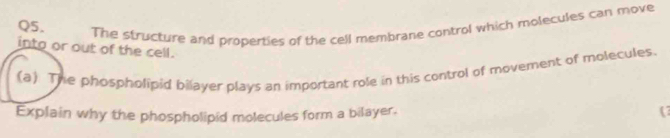 The structure and properties of the cell membrane control which molecules can move 
into or out of the cell. 
(a) The phospholipid bilayer plays an important role in this control of movement of molecules. 
Explain why the phospholipid molecules form a bilayer. 
(