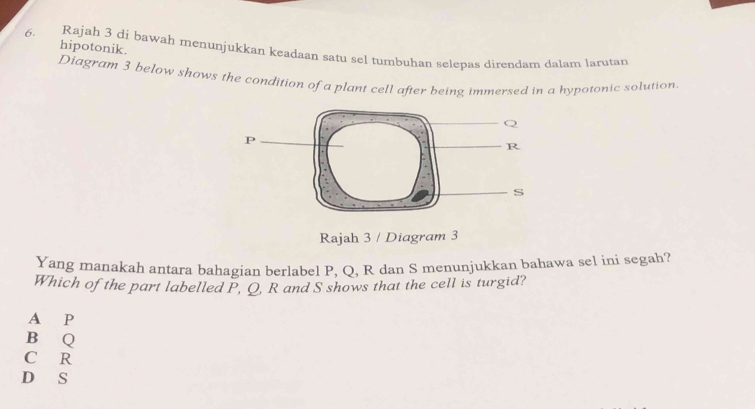 hipotonik.
6. Rajah 3 di bawah menunjukkan keadaan satu sel tumbuhan selepas direndam dalam larutan
Diagram 3 below shows the condition of a plant cell after being immersed in a hypotonic solution.
Rajah 3 / Diagram 3
Yang manakah antara bahagian berlabel P, Q, R dan S menunjukkan bahawa sel ini segah?
Which of the part labelled P, O, R and S shows that the cell is turgid?
A P
B Q
C R
D S