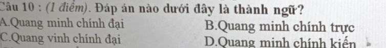 Đáp án nào dưới đây là thành ngữ?
A.Quang minh chính đại B.Quang minh chính trực
C.Quang vinh chính đại D.Quang minh chính kiến