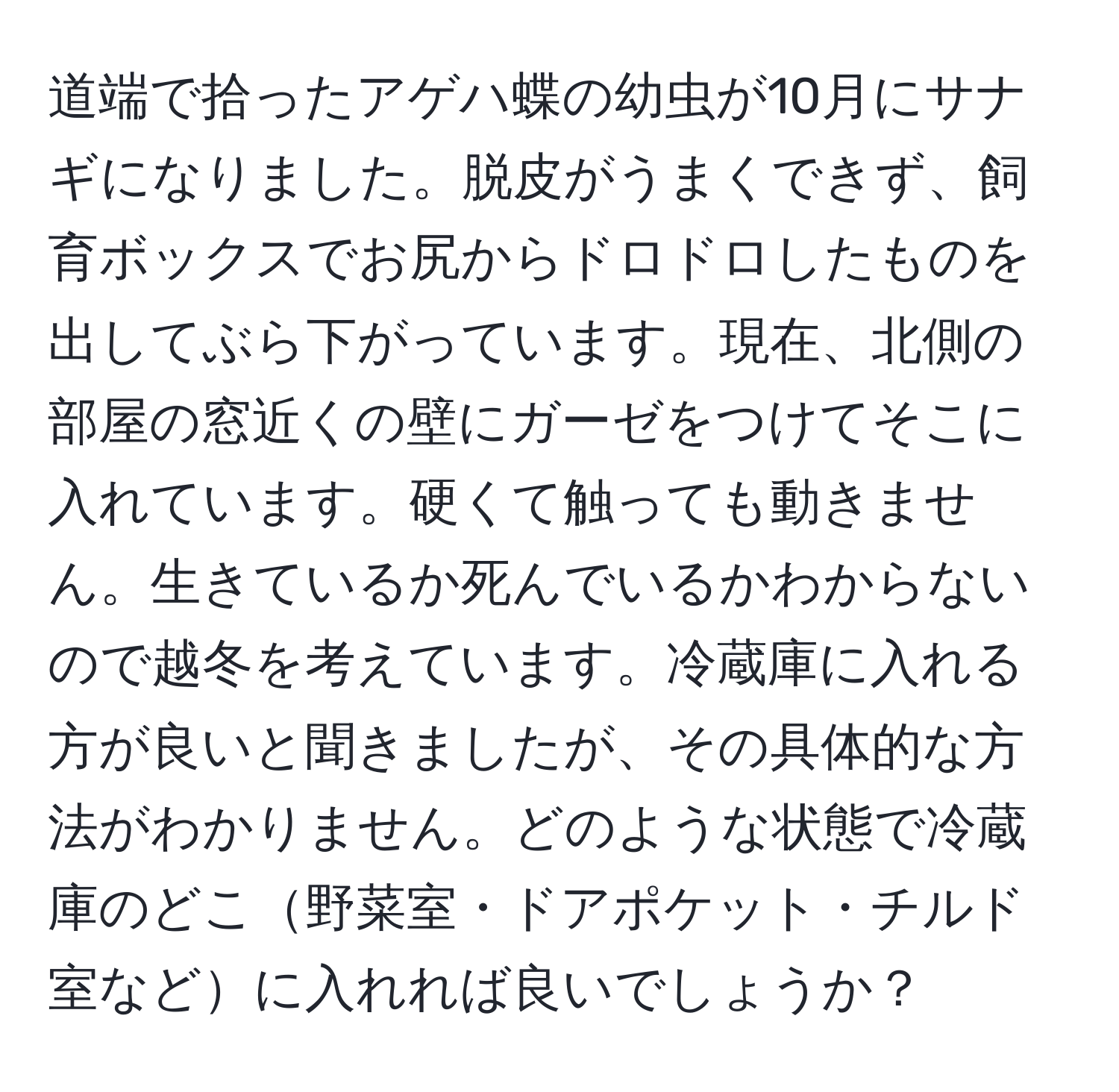 道端で拾ったアゲハ蝶の幼虫が10月にサナギになりました。脱皮がうまくできず、飼育ボックスでお尻からドロドロしたものを出してぶら下がっています。現在、北側の部屋の窓近くの壁にガーゼをつけてそこに入れています。硬くて触っても動きません。生きているか死んでいるかわからないので越冬を考えています。冷蔵庫に入れる方が良いと聞きましたが、その具体的な方法がわかりません。どのような状態で冷蔵庫のどこ野菜室・ドアポケット・チルド室などに入れれば良いでしょうか？