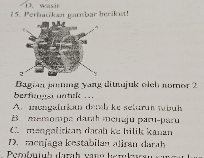 D. wasir
15. Perhatikan gambar berikut!
Bagian jantung yang ditnujuk oleh nomor 2
berfungsi untuk ...
A. mengalırkan darah ke selurun tubuh
B memompa darah menuju paru-paru
C. mengalirkan darah ke bilik kanan
D. menjaga kestabilan aliran darah
. Pembulüh darah vang bernkuran