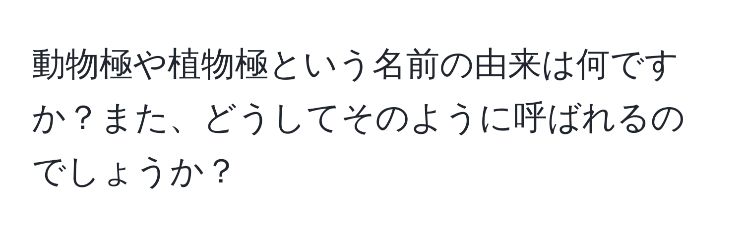 動物極や植物極という名前の由来は何ですか？また、どうしてそのように呼ばれるのでしょうか？