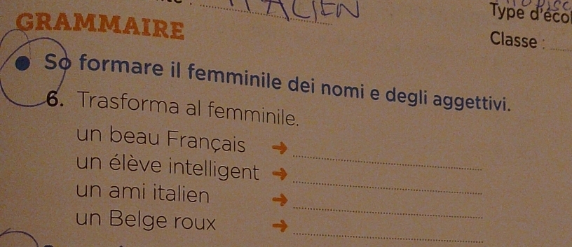 Type d'éco 
grAMmAIRE 
_ 
Classe :_ 
So formare il femminile dei nomi e degli aggettivi. 
. Trasforma al femminile. 
un beau Français 
un élève intelligent 
_ 
_ 
un ami italien 
_ 
_ 
un Belge roux