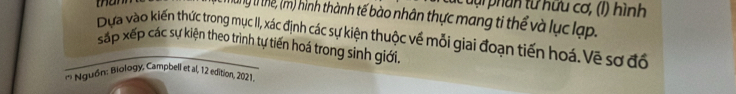 phan từ hữu cơ, (l) hình 
ung t thể (m) hình thành tế bào nhân thực mang ti thể và lục lạp. 
Dựa vào kiến thức trong mục II, xác định các sự kiện thuộc về mỗi giai đoạn tiến hoá. Vẽ sơ đổ 
sắp xếp các sự kiện theo trình tự tiến hoá trong sinh giới. 
' Nguồn: Biology, Campbell et al, 12 edition, 2021.