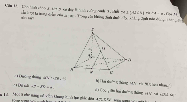 Cho hình chóp S. ABCD có đáy là hình vuông cạnh a . Biết SA⊥ (ABCD) và SA=a. Gọi M,
lần lượt là trung điểm của SC, BC. Trong các khẳng định dưới đây, khẳng định nào đúng, khẳng định
nào sai?
a) Đường thẳng A IN//SB b) Hai đường thẳng MN và BDchéo nhau.
c) Độ dài SB=SD=a. d) Góc giữa hai đường thẳng MN và BDlà 60°
u 14. Một ô che nắng có viền khung hình lục giác đều ABCDEF song song với mă
song song với can