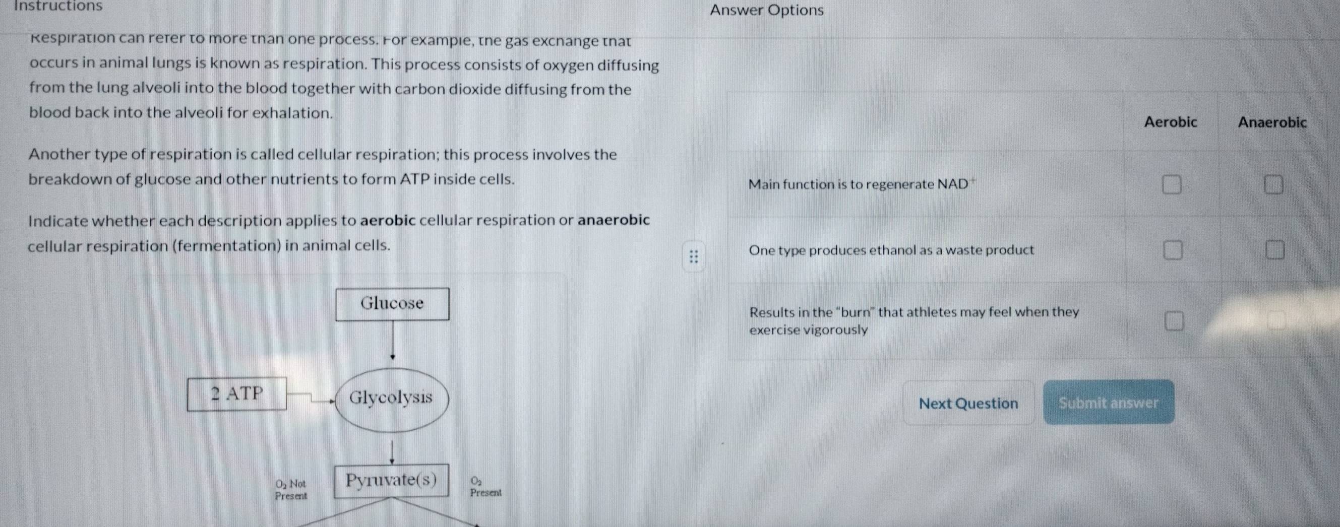 Instructions Answer Options 
Respiration can refer to more than one process. For exampie, the gas excnange tnat 
occurs in animal lungs is known as respiration. This process consists of oxygen diffusing 
from the lung alveoli into the blood together with carbon dioxide diffusing from the 
blood back into the alveoli for exhalation. 
Another type of respiration is called cellular respiration; this process involves the 
breakdown of glucose and other nutrients to form ATP inside cells. 
Indicate whether each description applies to aerobic cellular respiration or anaerobic 
cellular respiration (fermentation) in animal cells. 
Next Question Submit answer