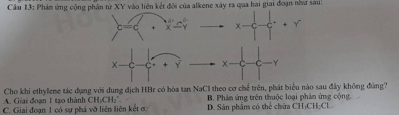 Phản ứng cộng phân tử XY vào liên kết đôi của alkene xảy ra qua hai giai đoạn như sau:
c=c + beginarrayr 6+ x-yendarray
x-c-e^++y^-
X C C + +
-hat C C Y
Cho khí ethylene tác dụng với dung dịch HBr có hòa tan NaCl theo cơ chế trên, phát biểu nào sau đây không đúng?
A. Giai đoạn 1 tạo thành CH_3CH_2^(+. B. Phản ứng trên thuộc loại phản ứng cộng.
C. Giai đoạn 1 có sự phá vỡ liên liên kết σ. D. Sản phẩm có thể chứa CH_3)CH_2Cl.