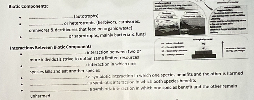 Secontary Coa 
Biotic Components: 
and are tahem ao fr alast . r o fam humus ae does t 
Decurgatio 
(autotrophs) Se D h Pagmentacton 
_or heterotrophs (herbivors, carnivores, Caton Cacto Pes hers crüa Laching sis detritus inéo zmait pertices 

_omnivores & detritivores that feed on organic waste) Cambolus in the not to karn satts. 
_or saprotrophs, mainly bacteria & fungi Decnat & forgal ancynas degare 

Eoological pyremid 
Interactions Between Biotic Components PC - Fsmary Consumer F Mémary Moduce 
_: interaction between two or SO - Secondary Conmor Decnna en taa er O 
TC - Thetury Comuro 
more individuals strive to obtain same limited resources 
_: interaction in which one 
species kills and eat another species 
_a symbiotic interaction in which one species benefits and the other is harmed 
_: a symbiotic interaction in which both species benefits 
_: a symbiotic interaction in which one species benefit and the other remain 
unharmed.