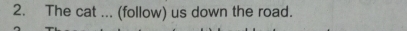 The cat ... (follow) us down the road.