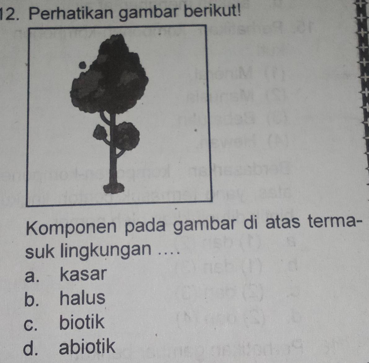 Perhatikan gambar berikut!
Komponen pada gambar di atas terma-
suk lingkungan ....
a. kasar
b. halus
c. biotik
d. abiotik