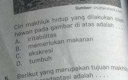 Sumber: shutterstock con
Ciri makhluk hidup yang dilakukan oieh
hewan pada gambar di atas adalah . . .
A. iritabilitas
B. memerlukan makanan C. ekskresi
D. tumbuh
Berikut yang merupakan tujuan makhi
radaptasi adalah . . . .