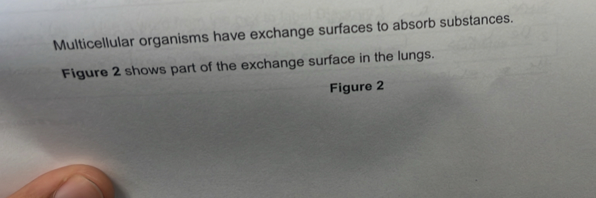 Multicellular organisms have exchange surfaces to absorb substances. 
Figure 2 shows part of the exchange surface in the lungs. 
Figure 2