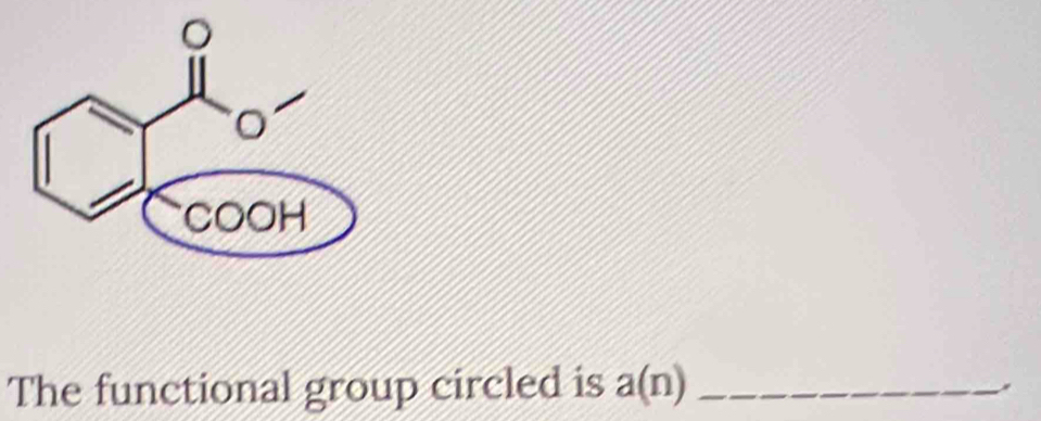 The functional group circled is a(n) _ 
,