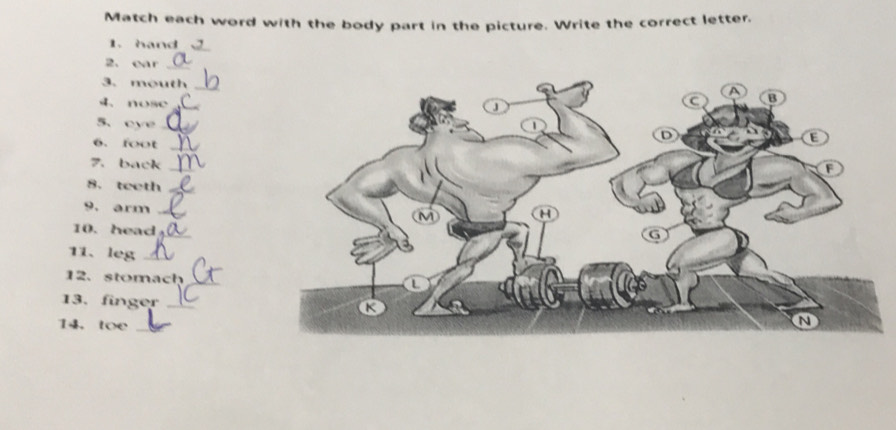 Match each word with the body part in the picture. Write the correct letter. 
1. hand_ 
2、 ear_ 
3. mouth 
4、 nose_ 
5、eye_ 
6. foot_ 
7. back_ 
8. teeth_ 
9. arm 
10. head_ 
11、leg_ 
12、 stomach_ 
13. finger_ 
14. toe_