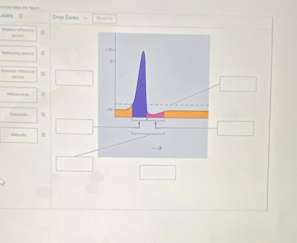 mectly label the figure 
abels Drop Zones Reset Al 
Relative refactory 
period 
Refractory period 
Absolute refractory 
period 
Millisecond 
Threshold 
Millivolts