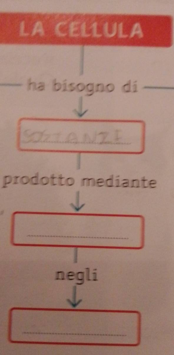 LA CELLULA 
_ha bisogno di_ 
_ 
prodotto mediante 
_ 
negli 
_