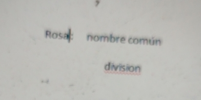 Rosa: nombre común 
division