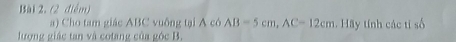 Cho tam giác ABC vuông tại A có AB=5cm, AC=12cm 1. Hãy tính các tỉ số 
lương giác tan và cotang của góc B.