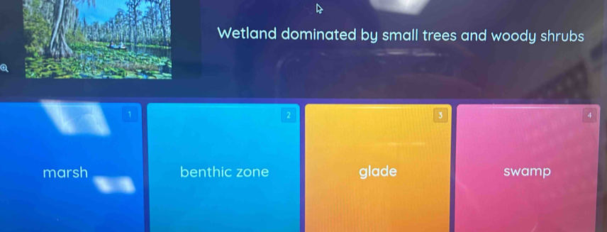 Wetland dominated by small trees and woody shrubs
a
1
2
3
4
marsh benthic zone glade swamp