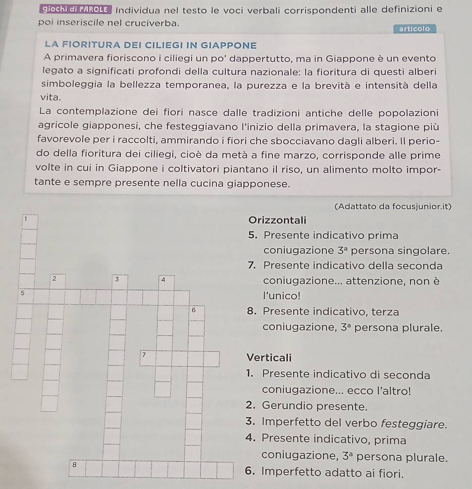 giochi di  AROLE Individua nel testo le voci verbali corrispondenti alle definizioni e
poi inseriscile nel cruciverba.
articolo
LA FIORITURA DEI CILIEGI IN GIAPPONE
A primavera fioriscono i ciliegi un po' dappertutto, ma in Giappone è un evento
legato a significati profondi della cultura nazionale: la fioritura di questi alberi
simboleggia la bellezza temporanea, la purezza e la brevità e intensità della
vita.
La contemplazione dei fiori nasce dalle tradizioni antiche delle popolazioni
agricole giapponesi, che festeggiavano l’inizio della primavera, la stagione più
favorevole per i raccolti, ammirando i fiori che sbocciavano dagli alberi. Il perio-
do della fioritura dei ciliegi, cioè da metà a fine marzo, corrisponde alle prime
volte in cui in Giappone i coltivatori piantano il riso, un alimento molto impor-
tante e sempre presente nella cucina giapponese.
(Adattato da focusjunior.it)
1 Orizzontali
5. Presente indicativo prima
coniugazione 3^a persona singolare.
7. Presente indicativo della seconda
2
3 4
coniugazione... attenzione, non è
5
I'unico!
6 8. Presente indicativo, terza
coniugazione, 3^a persona plurale.
7
Verticali
1. Presente indicativo di seconda
coniugazione... ecco l’altro!
2. Gerundio presente.
3. Imperfetto del verbo festeggiare.
4. Presente indicativo, prima
coniugazione, 3^a persona plurale.
8
6. Imperfetto adatto ai fiori.