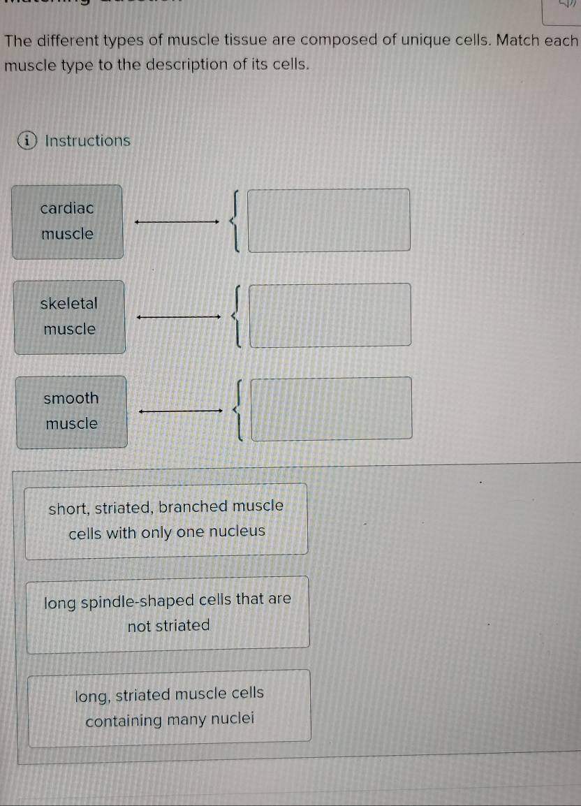 The different types of muscle tissue are composed of unique cells. Match each
muscle type to the description of its cells.
i Instructions
cardiac
muscle
 □ 
skeletal
muscle
| 
smooth
muscle
|
short, striated, branched muscle
cells with only one nucleus
long spindle-shaped cells that are
not striated
long, striated muscle cells
containing many nuclei