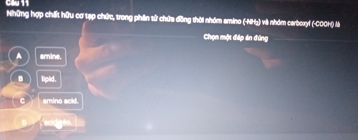 Những hợp chất hữu cơ tạp chức, trong phân tử chứa đồng thời nhóm amino (-NH₂) và nhóm carboxyl (-COOH) là
Chọn một đáp án đúng
A amine.
B lipid.
C amino acid.
D acicitéo.