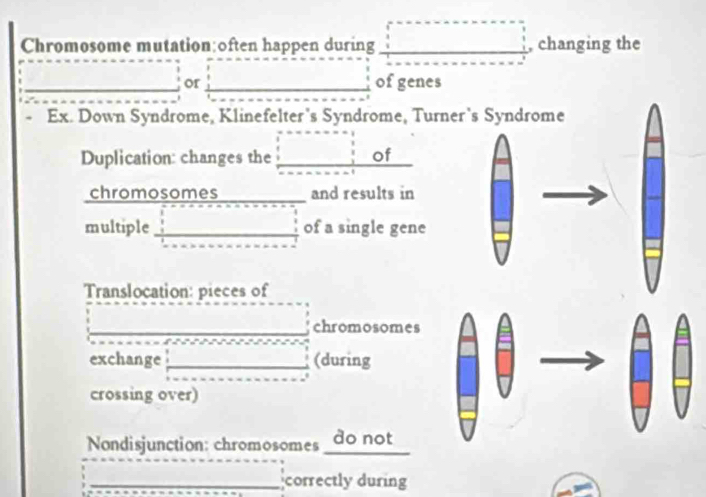 Chromosome mutation;often happen during , changing the 
or of genes 
Ex. Down Syndrome, Klinefelter's Syndrome, Turner’s Syndrome 
Duplication: changes the of 
chromosomes and results in 
multiple of a single gene 
Translocation: pieces of 
chromosomes 
exchange (during 
crossing over) 
_ 
* Nondisjunction: chromosomes do do not 
_correctly during