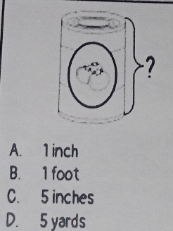 A. 1 inch
B. 1 foot
C. 5 inches
D. 5 yards