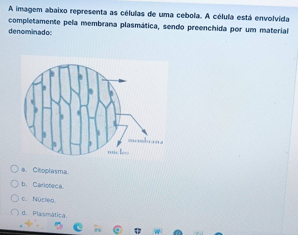 A imagem abaixo representa as células de uma cebola. A célula está envolvida
completamente pela membrana plasmática, sendo preenchida por um material
denominado:
a. Citoplasma.
b. Carioteca.
c. Núcleo.
d. Plasmática.