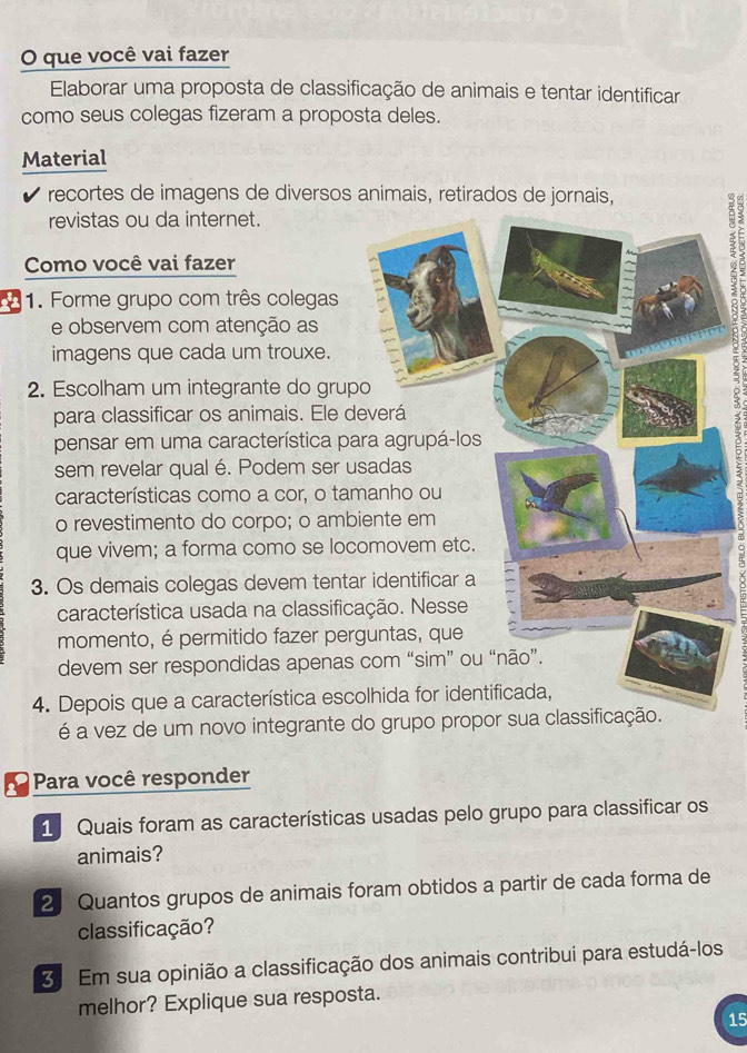 que você vai fazer 
Elaborar uma proposta de classificação de animais e tentar identificar 
como seus colegas fizeram a proposta deles. 
Material 
recortes de imagens de diversos animais, retirados de jornais, 
revistas ou da internet. 
Como você vai fazer 
1. Forme grupo com três colegas 
e observem com atenção as 
imagens que cada um trouxe. 
2. Escolham um integrante do grup 
para classificar os animais. Ele d 
pensar em uma característica pa 
sem revelar qual é. Podem ser u 
características como a cor, o ta 
o revestimento do corpo; o amb 
que vivem; a forma como se loc 
3. Os demais colegas devem tenta 
característica usada na classific 
momento, é permitido fazer per 
devem ser respondidas apenas 
4. Depois que a característica esc 
é a vez de um novo integrante do grupo propor sua classificação. 
Para você responder 
1 Quais foram as características usadas pelo grupo para classificar os 
animais? 
2 Quantos grupos de animais foram obtidos a partir de cada forma de 
classificação? 
3 Em sua opinião a classificação dos animais contribui para estudá-los 
melhor? Explique sua resposta. 
15