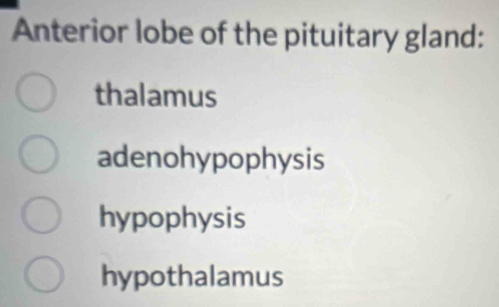 Anterior lobe of the pituitary gland:
thalamus
adenohypophysis
hypophysis
hypothalamus