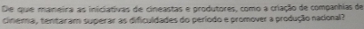 De que maneira as iniclativas de cineastas e produtores, como a criação de companhias de 
cinema, tentaram superar as dificuldades do período e promover a produção nacional?