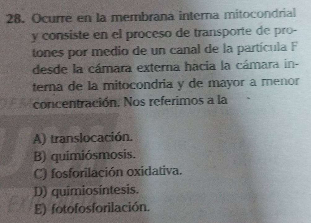 Ocurre en la membrana interna mitocondrial
y consiste en el proceso de transporte de pro-
tones por medio de un canal de la partícula F
desde la cámara externa hacia la cámara in-
terna de la mitocondria y de mayor a menor
concentración. Nos referimos a la
A) translocación.
B) quimiósmosis.
C) fosforilación oxidativa.
D) quimiosíntesis.
E) fotofosforilación.