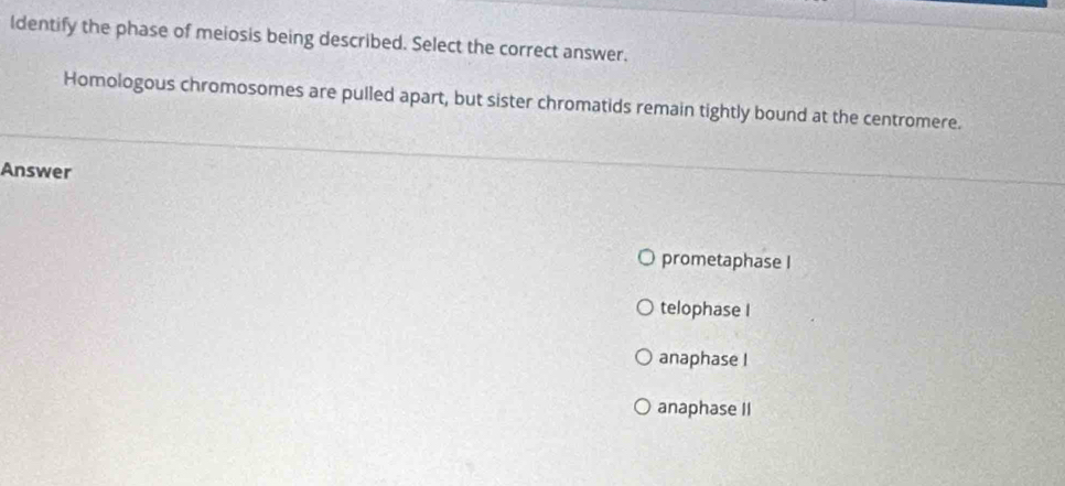 ldentify the phase of meiosis being described. Select the correct answer.
Homologous chromosomes are pulled apart, but sister chromatids remain tightly bound at the centromere.
Answer
prometaphase I
telophase I
anaphase I
anaphase II